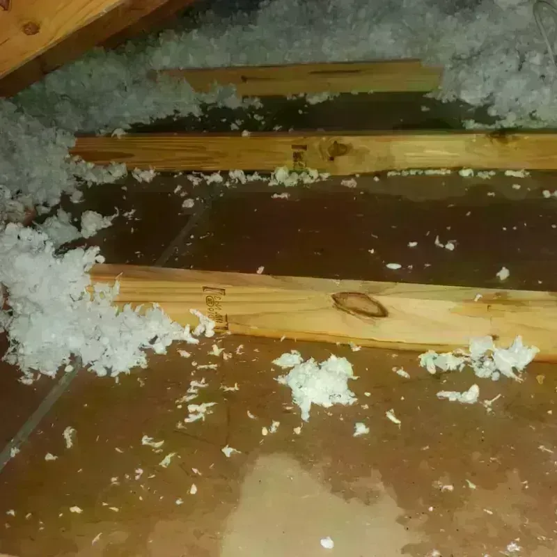 Attic Water Damage in Ogden, IA