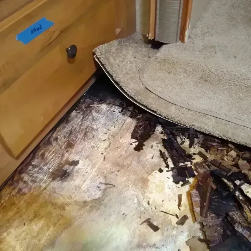 Wood Floor Water Damage in Ogden, IA